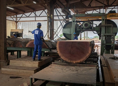 Wood Processing Industry